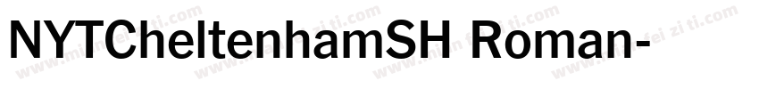 NYTCheltenhamSH Roman字体转换